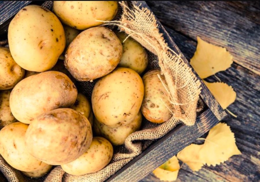 Krompir i luk vam propadaju duplo brže zbog jedne navike 